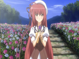 Картинка аниме shuffle