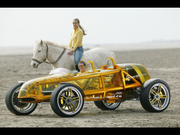 Обои картинки фото автомобили, rinspeed