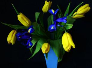 Картинка цветы букеты композиции