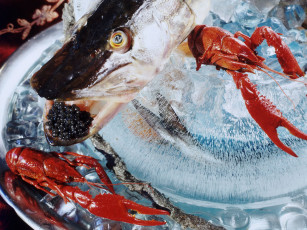 Картинка еда рыбные блюда морепродуктами