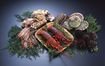 Картинка еда рыба морепродукты суши роллы