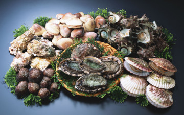 Картинка еда рыба морепродукты суши роллы