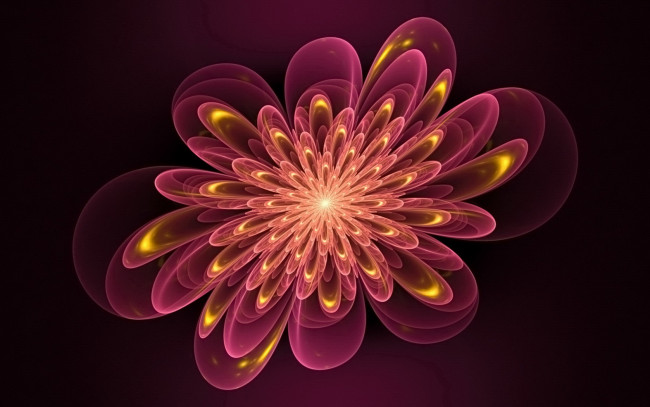 Обои картинки фото 3д, графика, flowers, цветы, фон, тёмный, узор