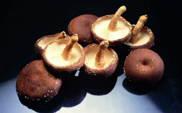 Картинка еда грибы грибные блюда