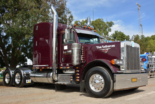 Обои картинки фото peterbilt, автомобили, седельный, тягач, грузовик, тяжелый