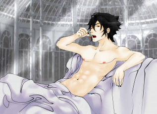 Картинка аниме monochrome+factor акира