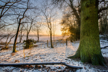 Картинка природа восходы закаты рассвет