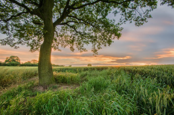 Картинка природа восходы закаты рассвет