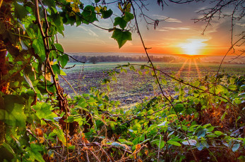 Картинка природа восходы закаты рассвет