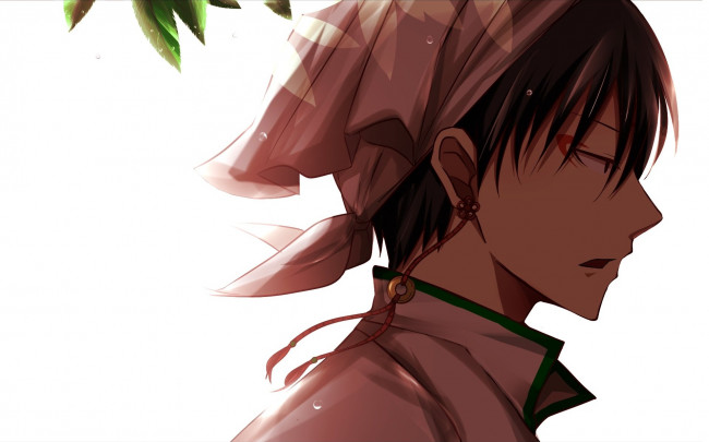 Обои картинки фото аниме, hoozuki no reitetsu, хладнокровный, хозуки, хакутаку