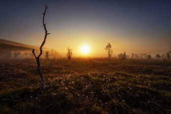 Картинка природа восходы закаты рассвет