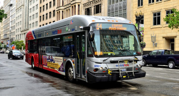 Картинка автомобили автобусы транспорт