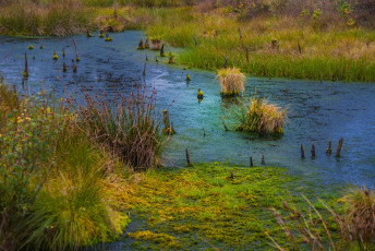 Картинка природа реки озера простор