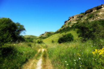 Картинка природа дороги простор