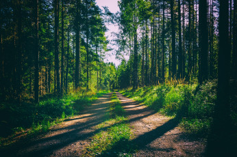 Картинка природа дороги простор