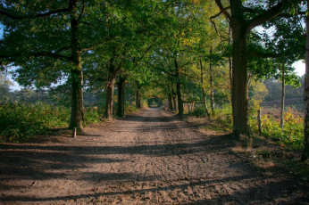 Картинка природа дороги простор