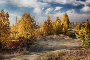 Картинка природа дороги простор