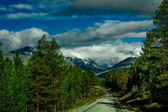 Картинка природа дороги простор