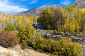 Картинка природа пейзажи простор