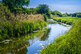 Картинка природа реки озера простор