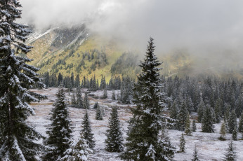 Картинка природа зима простор