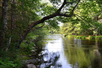 Картинка природа реки озера простор