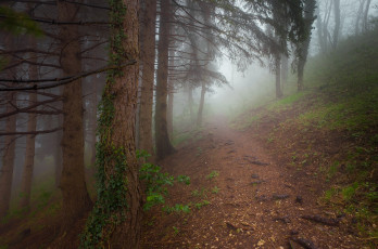 Картинка природа дороги простор