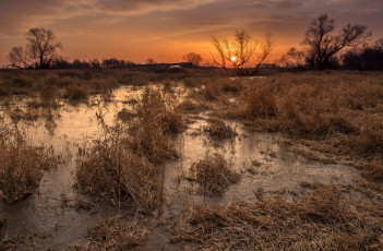 Картинка природа реки озера простор