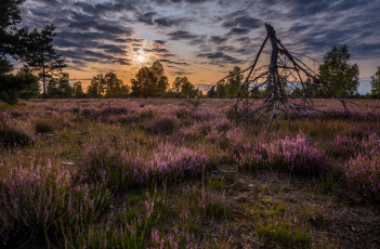 Картинка природа восходы закаты простор