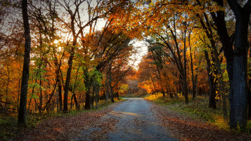 Картинка природа дороги простор