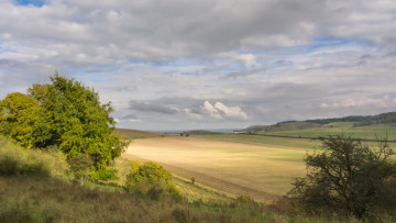 Картинка природа пейзажи простор