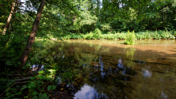 Картинка природа реки озера простор