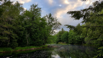 Картинка природа реки озера простор