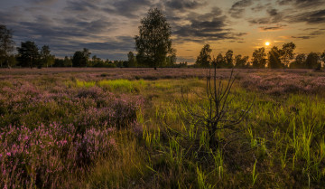 Картинка природа пейзажи простор