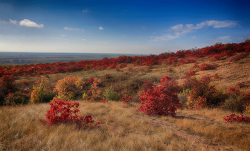 Картинка природа пейзажи простор