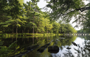 Картинка природа реки озера простор