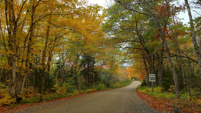 Обои картинки фото природа, дороги, простор