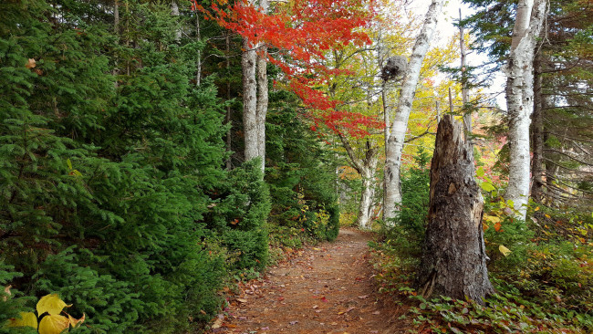 Обои картинки фото природа, дороги, простор