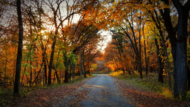 Обои картинки фото природа, дороги, простор