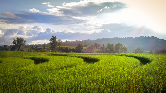 Обои картинки фото природа, поля, простор
