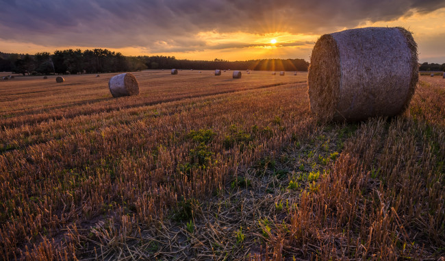 Обои картинки фото природа, поля, простор