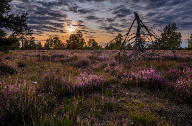 Обои картинки фото природа, восходы, закаты, простор