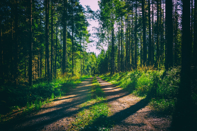 Обои картинки фото природа, дороги, простор