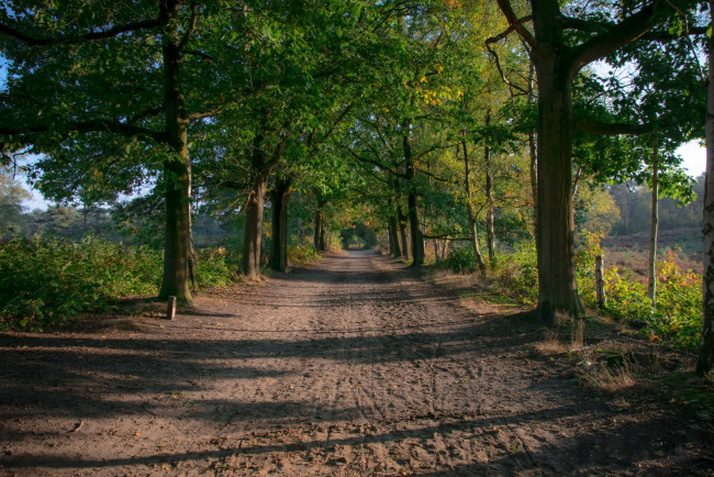 Обои картинки фото природа, дороги, простор