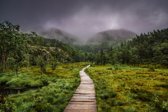 Обои картинки фото природа, дороги, простор