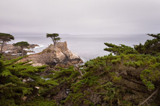 Обои картинки фото природа, побережье, простор