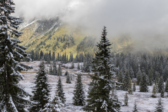 Обои картинки фото природа, зима, простор