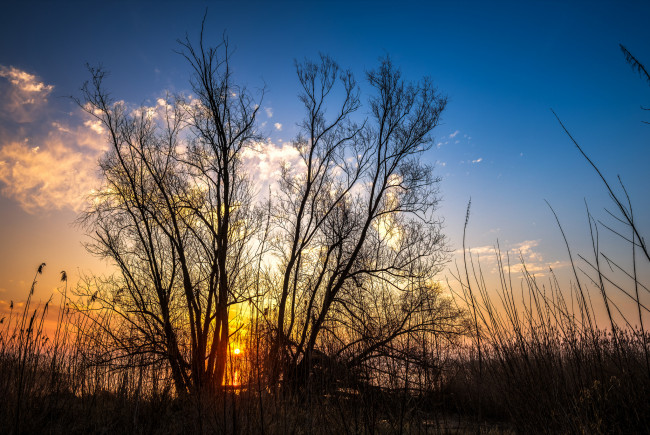 Обои картинки фото природа, восходы, закаты, простор