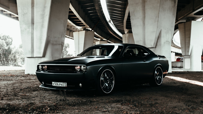 Обои картинки фото автомобили, dodge, challenger