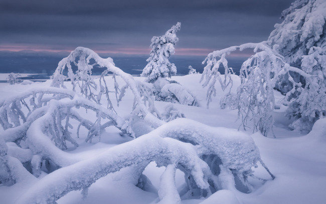 Обои картинки фото природа, зима, снег, сугробы